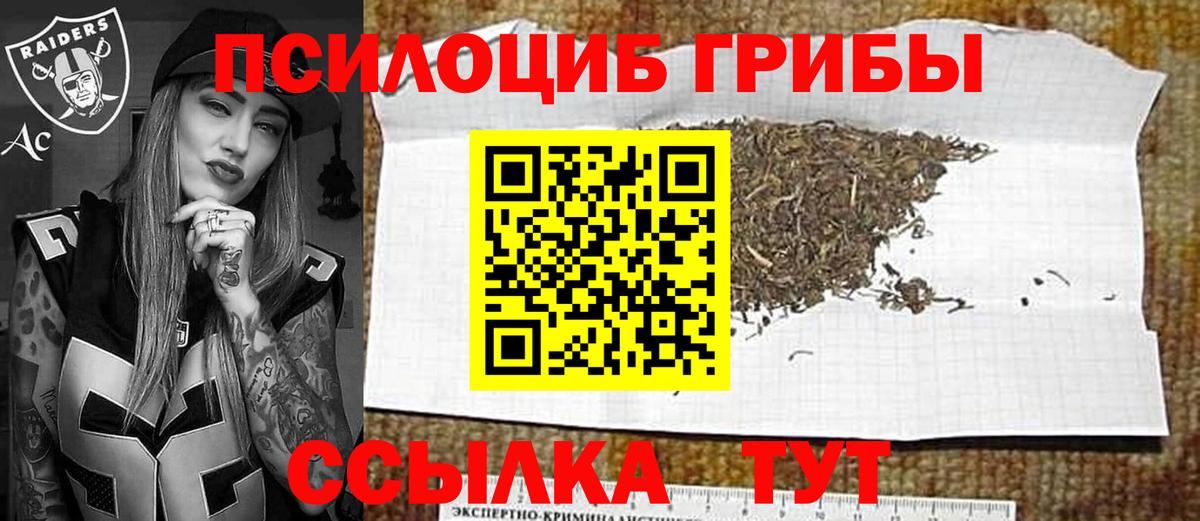 Шелехов  Псилоцибиновые грибы Cubensis  продажа наркотиков  Вход с VPN 
