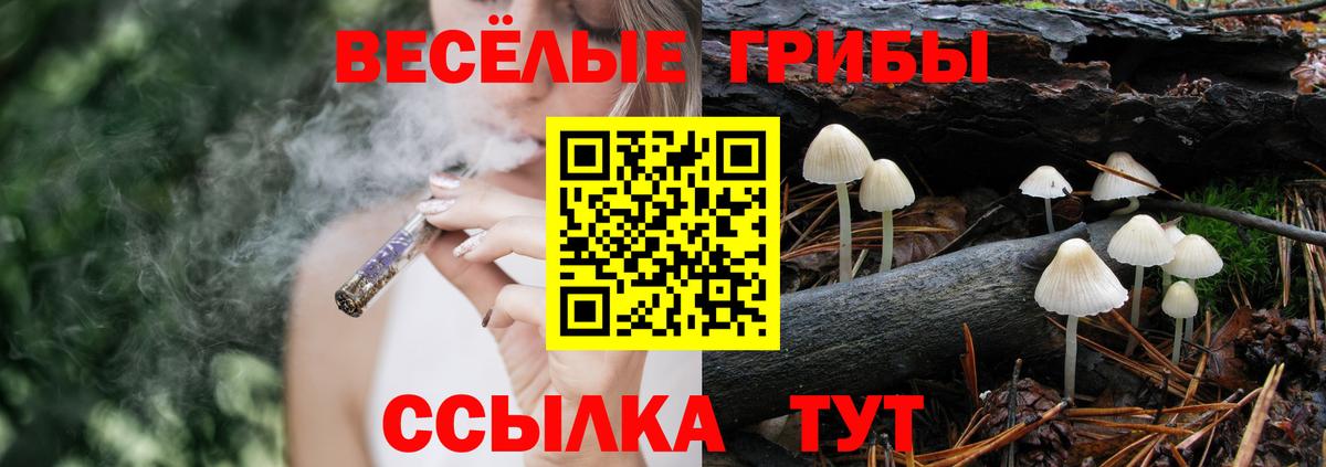Псилоцибиновые грибы MAGIC MUSHROOMS Шелехов